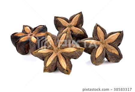 seed of sacha inchi,sacha mani or star inca peas seed of sacha inchi,sacha mani or star inca peas 38583317