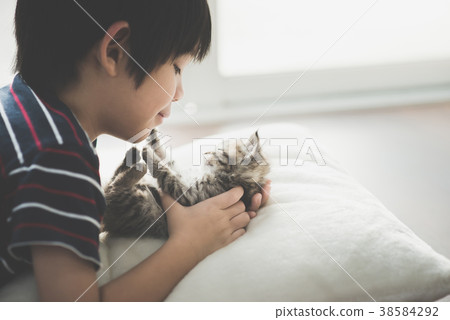 Cute asian child playing with short hair kitten 38584292