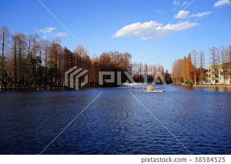 Besshi-mura公園 Besshi-mura公園 38584525