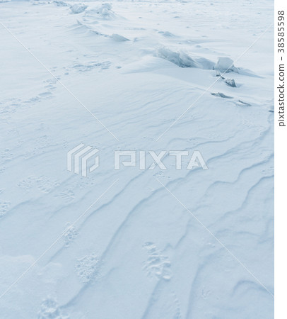 White snow pattern covered on frozen lake 38585598