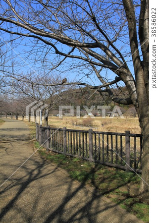 Fujisawa City, Kanagawa Prefecture Hijirikawa Water Park Fujisawa City, Kanagawa Prefecture Hijirikawa Water Park 38586022