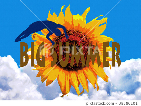 Sunflower poster Sunflower poster 38586101