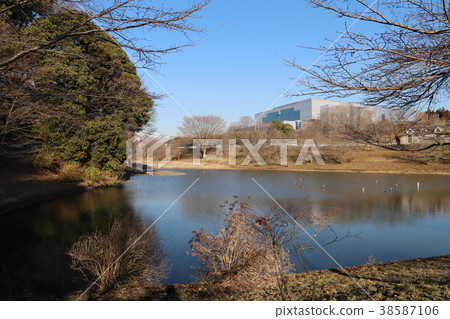 Seraseri Park 38587106