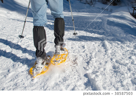 Four balls of colored wool skewered  38587503