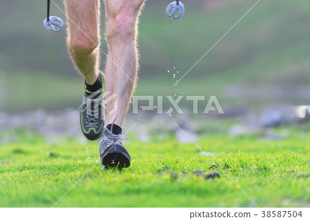 Four balls of colored wool skewered  38587504