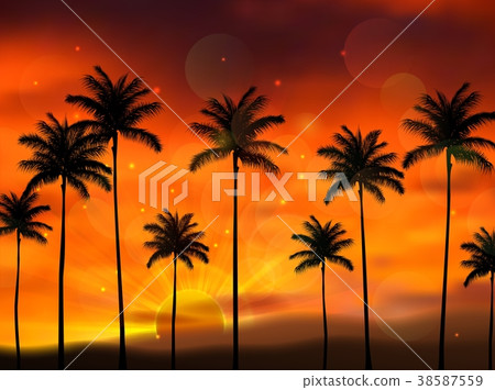 Silhouette of coconut tree when of sunset Silhouette of coconut tree when of sunset 38587559