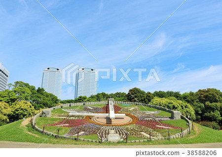 千葉Makuhari海灘公園花鐘 38588206