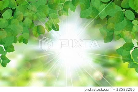Summer fresh leaf green leaves with sun rays 38588296