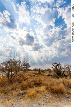 landscape namibia Etosha game reserve 38588822