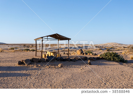 prehistoric desert plant, Namibia 38588846