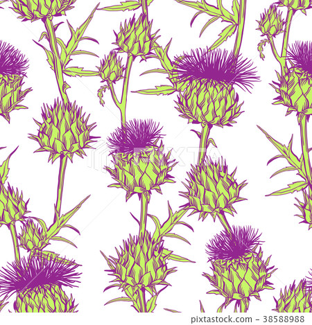 Seamless pattern with onopordum acanthium Seamless pattern with onopordum acanthium 38588988
