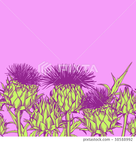 Seamless pattern with onopordum acanthium Seamless pattern with onopordum acanthium 38588992