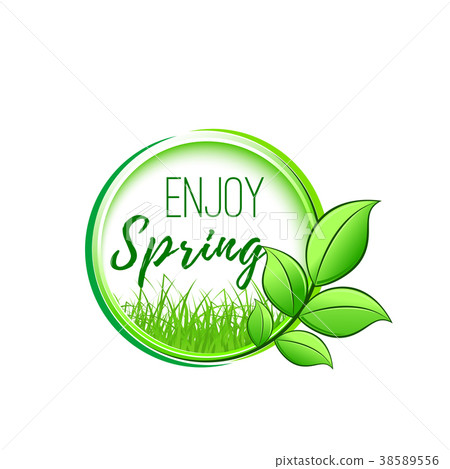 Springtime green leaf and grass vector icon 38589556