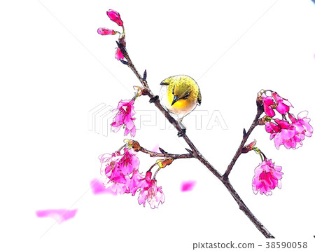 櫻花季節 38590058