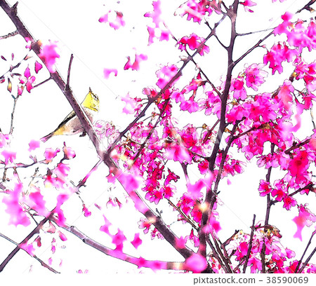 櫻花季節 38590069