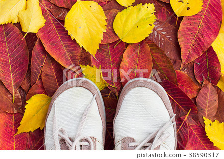Old sneakers on colorful dirty falling leaves 38590317