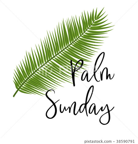 Green Palm leafs vector icon. Vector. Palm Sunday  38590791