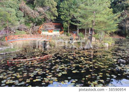 Ohgano Shrine 38590954