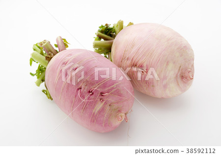 紅緋紅蘿蔔 38592112