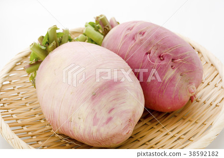 Red Crimson Radish Red Crimson Radish 38592182