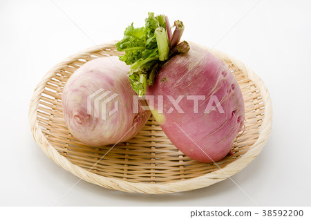 Red Crimson Radish Red Crimson Radish 38592200