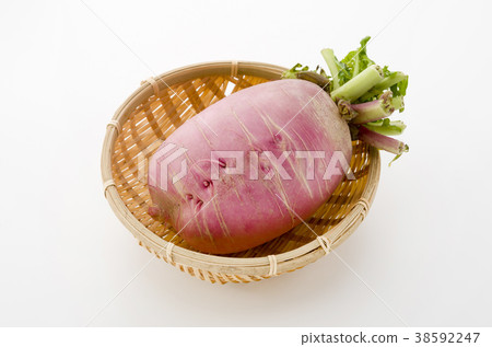 Red Crimson Radish Red Crimson Radish 38592247