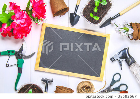 Garden tools, pots, seedlings and chalkboard Garden tools, pots, seedlings and chalkboard 38592667