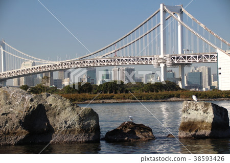 台場 38593426