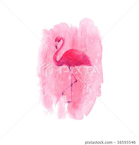 Flamingo on watercolor pink spot background 38593546