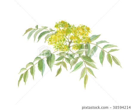 長垣長垣 38594214