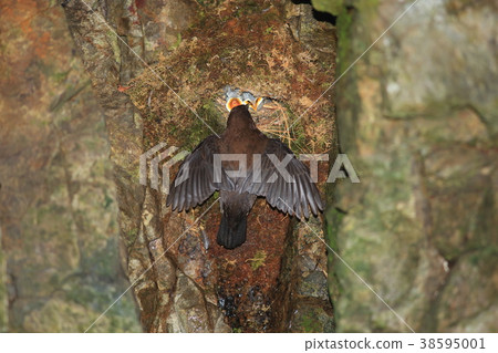 養育高山玻璃 38595001