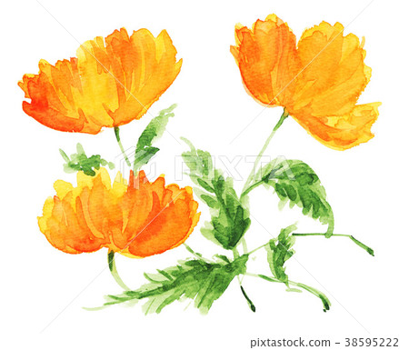 bloom, blossom, blossoms 38595222