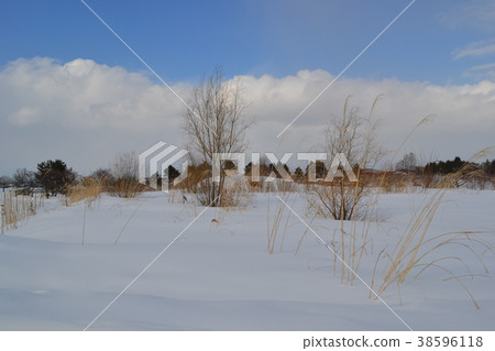 Snowfield in the Hirosaki suburb of winter 38596118