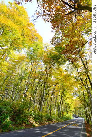 Oyama ring road 38597365