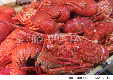 Shrimp Ise Shrimp Ise 38597910