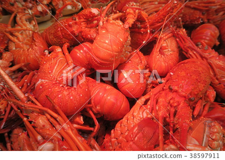 Shrimp Ise Shrimp Ise 38597911