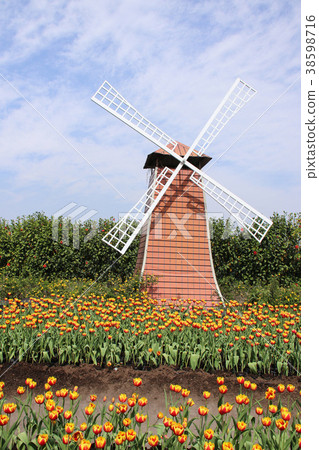 台灣台中中社觀光花市鬱金香 38598716