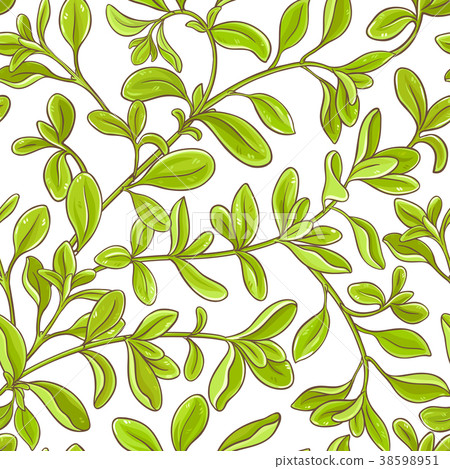 marjoram branch vector pattern 38598951
