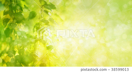 Green birch leaves background. Green birch leaves background. 38599013
