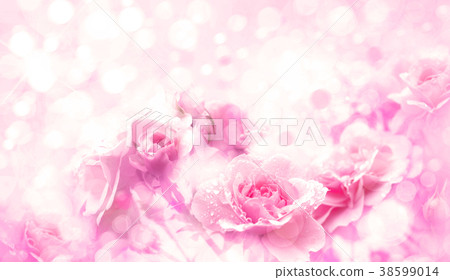 Pink roses flowers, bokeh background. - Stock Photo [38599014] - PIXTA