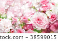 Blossoming roses flowers  background. 38599015