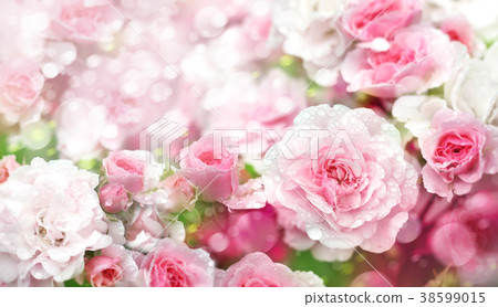 Blossoming roses flowers  background. 38599015