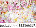 Roses flowers  background. 38599017