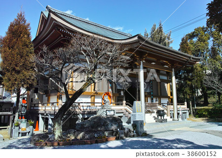 Kochi Zenrakuji Temple Kochi Zenrakuji Temple 38600152