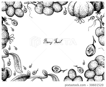 Hand Drawing Frame of Red Grapes and Pitanga 38601520