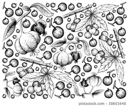 Background of Allophylus Edulis and Pitanga Fruits Background of Allophylus Edulis and Pitanga Fruits 38601648