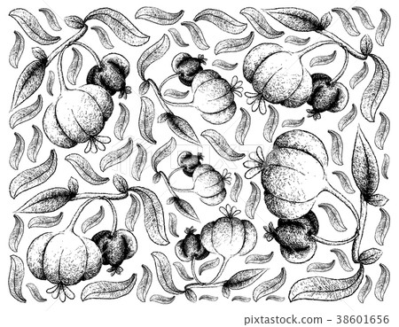 Hand Drawn Background of Fresh Pitanga Fruits Hand Drawn Background of Fresh Pitanga Fruits 38601656