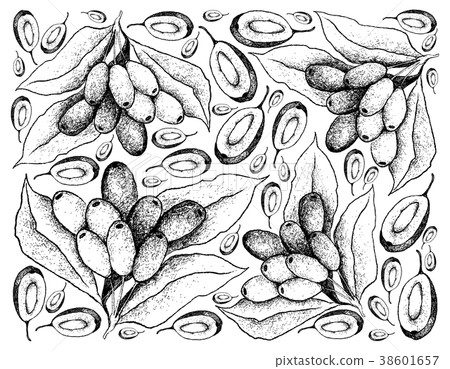 Hand Drawn Background of Fresh Jambolan Plums 38601657