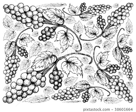 Background of Fresh Juicy Assyrtiko Grapes 38601664