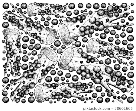 Background of Jabuticaba or Brazilian Grape Tree 38601665